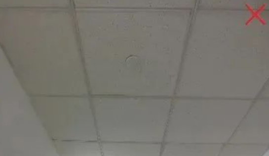 1701667440539525.png image.png